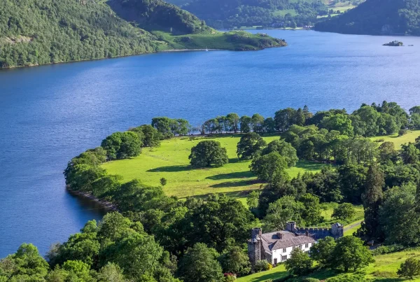 Matthews Benjamin Estate Agents